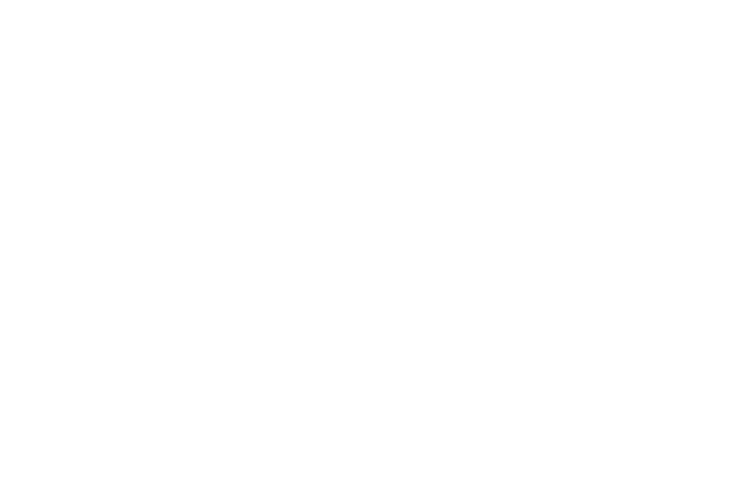 Distesi Short Festival 2027